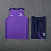 2025/2026 Corinthians Pre-Match Training Purple Vest+Shorts Football1:1 Thai Quality