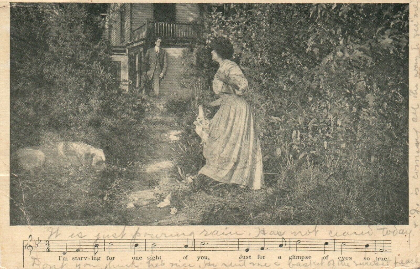 I'm Starving For One Sight of You Photo Poster painting Song Series 1908 Postcard Canceled 1909