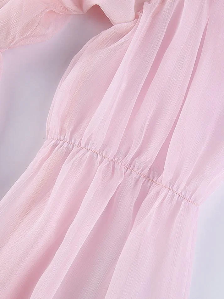 Brownm Long Sleeve Corset Mini Dress