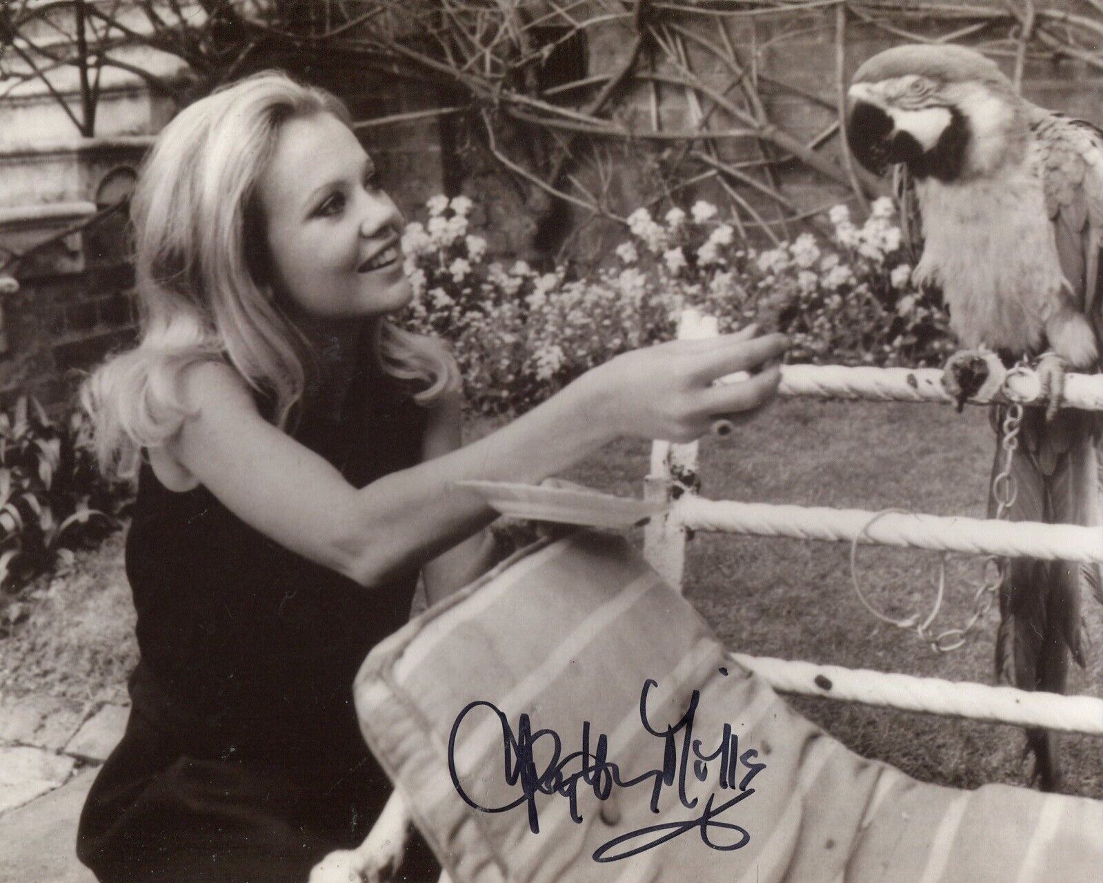 Actress HAYLEY MILLS signed 8x10 Photo Poster painting - In Person signing Ref26