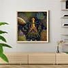 uk.everydayedeals (Limited Stock)Paint By Number - Oil Painting -  Jellyfish (40*40Cm)
