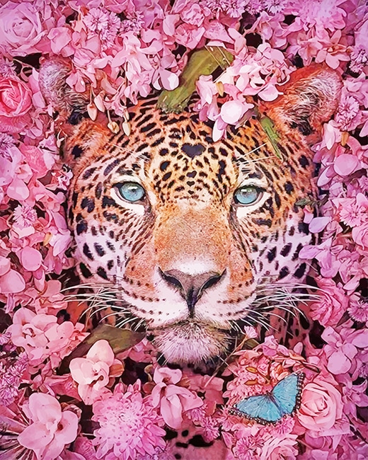 

Tiger Purple Flowers – Paint By Numbers - 40*50CM, 501 Original