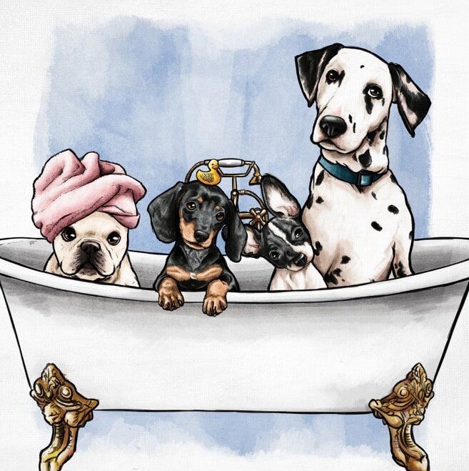 

Dogs in the Tub – Paint By Numbers - 40*50CM, 501 Original