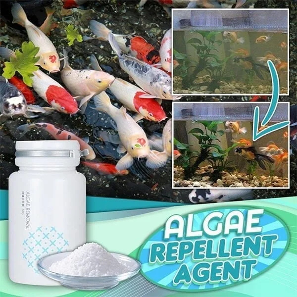 🔥Last Day 49% OFF - 🌺NEW Algae Repellent Agent