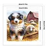 Sheepdog And Lamb-11CT Stamped Cross Stitch 40*40cm/15.75*15.75in