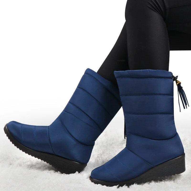 Boots Women Winter Snow Boots Female Tassel Down Girls Ankle Boots Ladies Botas Shoes Woman Warm Fur Botas Mujer 2021