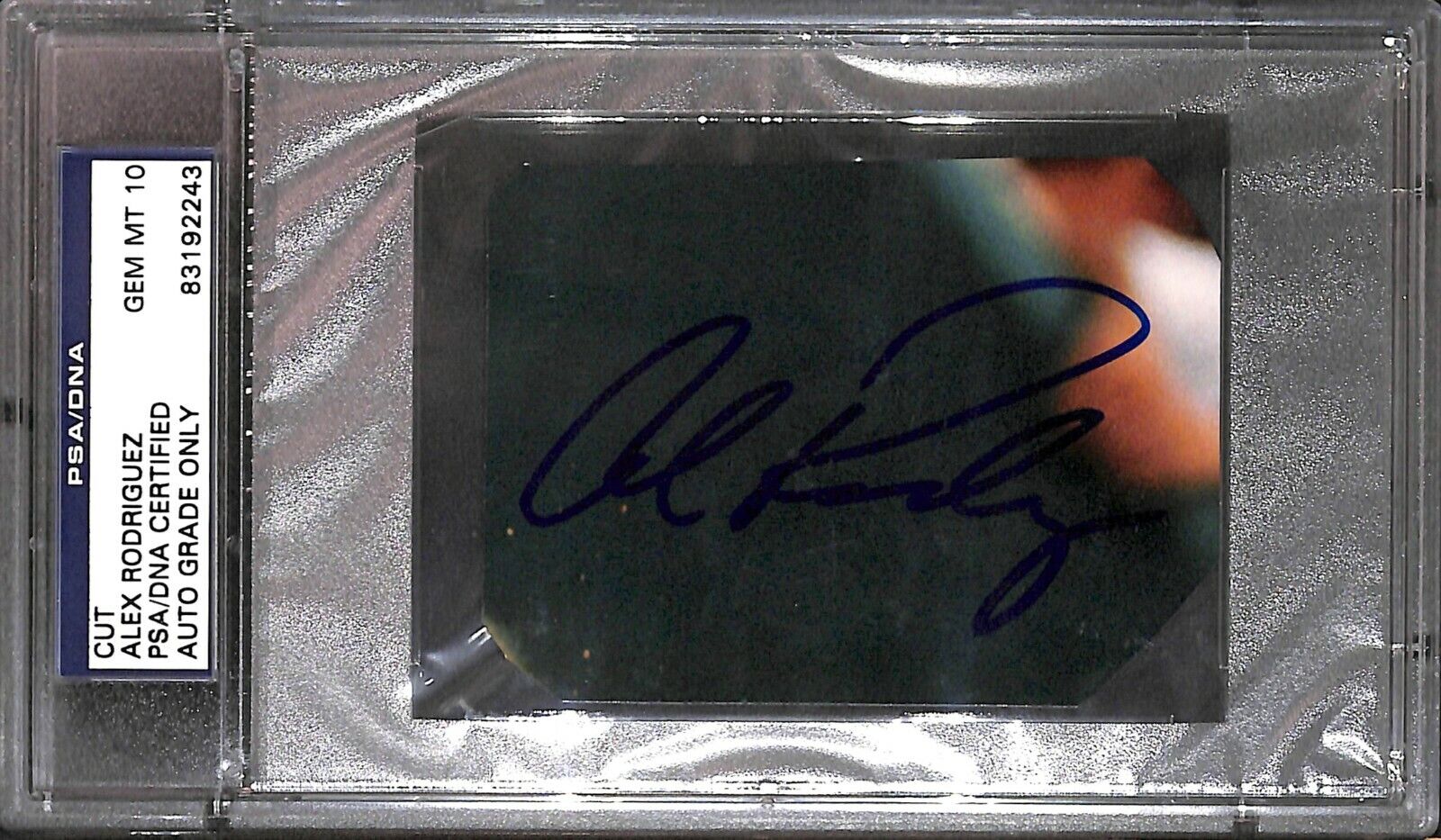 Alex Rodriguez Cut Photo Poster painting PSA/DNA COA Gem Mint 10 Autograph Yankees Baseball 8