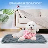 Winter Self Heating Cat Dog Mat Non-Slip & Washable Not Electric Thermal Pet Pad