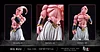 1/6 Scale Big Buu - Dragon Ball Resin Statue - D-M Studios