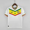 2022 FIFA World Cup Senegal National Team Home Shirt love fball