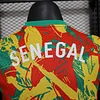 2024/2025 Player Version Senegal National Team Training Wear Football Shirt 1:1 Thai Quality