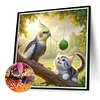 Diamond Painting-DIY Full Round Drill Parrot Cat(40*40 CM)