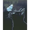 Bead Embroidery - Full Printed 9CT Blck Cat and Butterfly Cross Stitch Kit(52x340 CM)