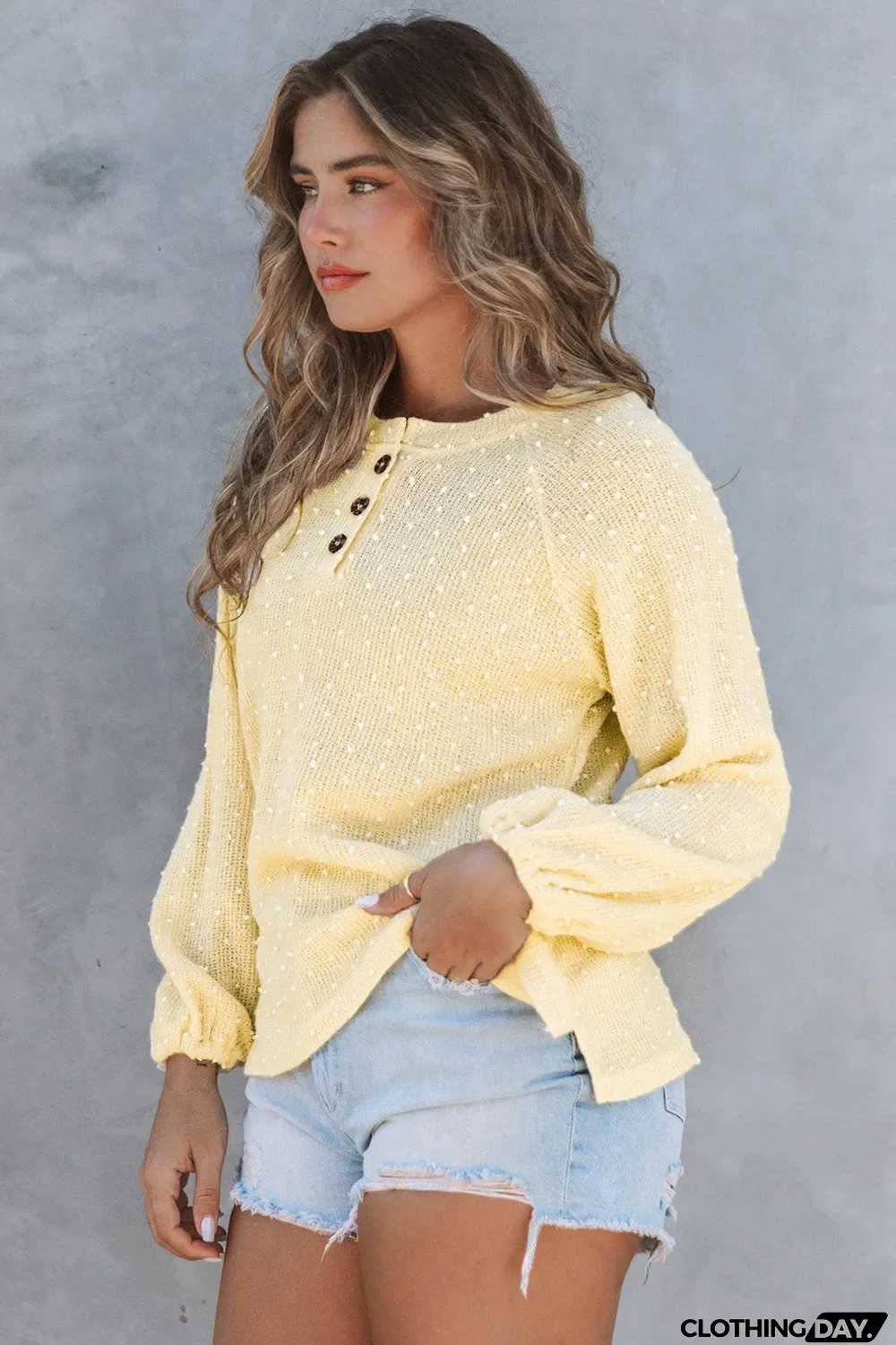 Swiss Dot Raglan Sleeves Knit Top