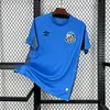 2025/2026 Santos Blue goalkeeper Football Shirt 1:1 Thai Quality