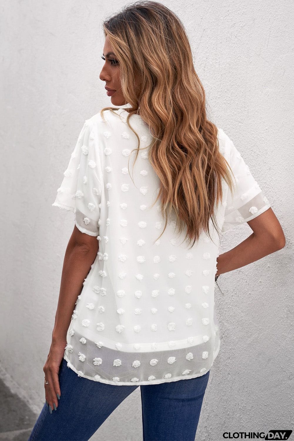 Chic White Swiss Dot Texture Round Neck Short Sleeve Top
