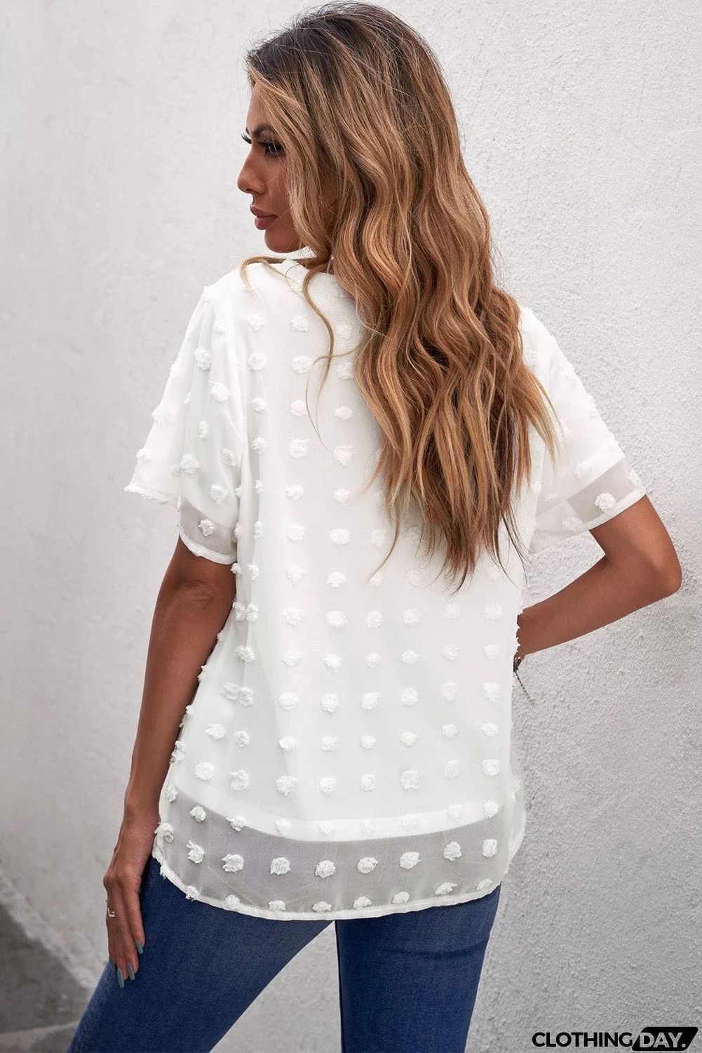 Chic White Swiss Dot Texture Round Neck Short Sleeve Top