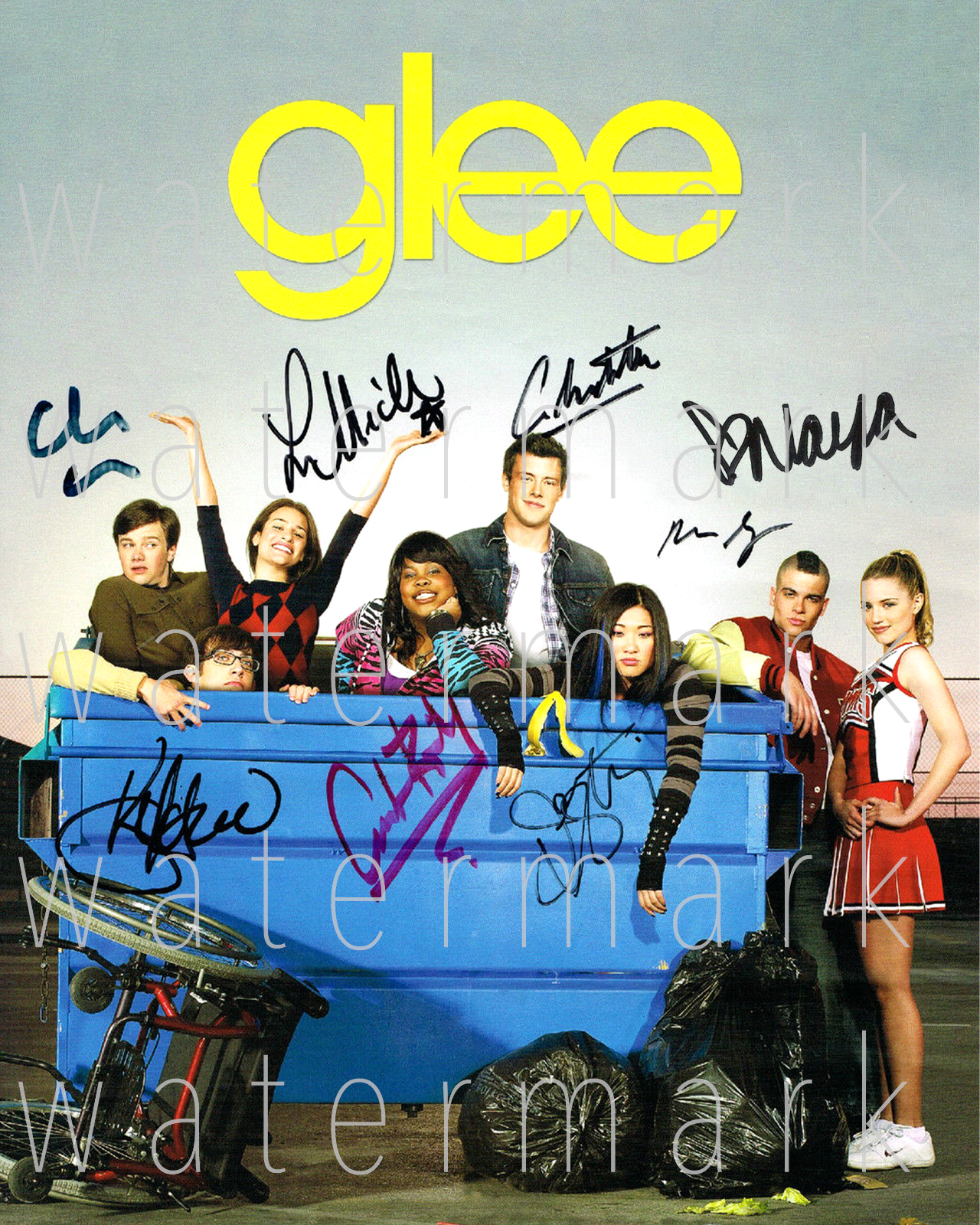 Glee Naya Rivera signed 8x10 Photo Poster painting poster wall art picture autograph RP