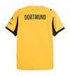 2025/2026 Dortmund Special Edition Yellow Football Shirt 1:1 Thai Quality
