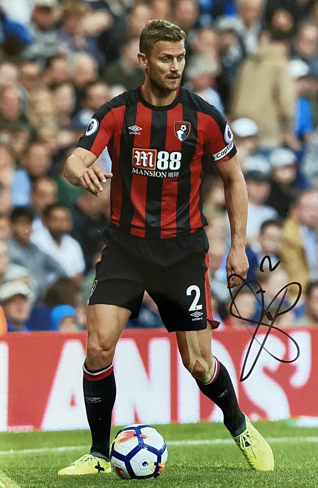 Simon Francis Genuine Hand Signed Bournemouth AFC 12x8 Photo Poster painting