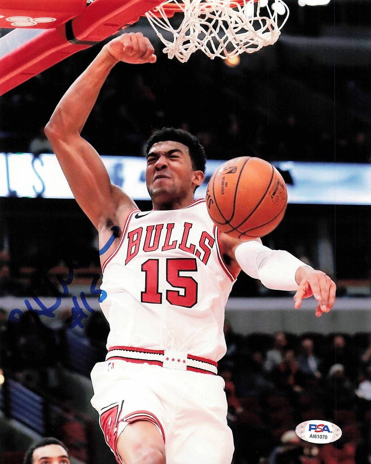 CHANDLER HUTCHISON signed 8x10 Photo Poster painting PSA/DNA Chicago Bulls Autographed