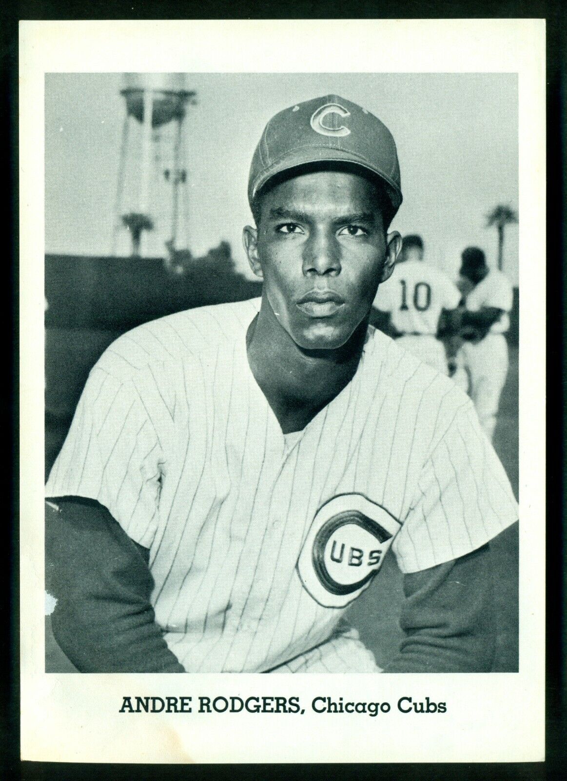 Original 1960's ANDRE RODGERS CHICAGO CUBS Team Issue B&W Photo Poster painting Card sz 5X7