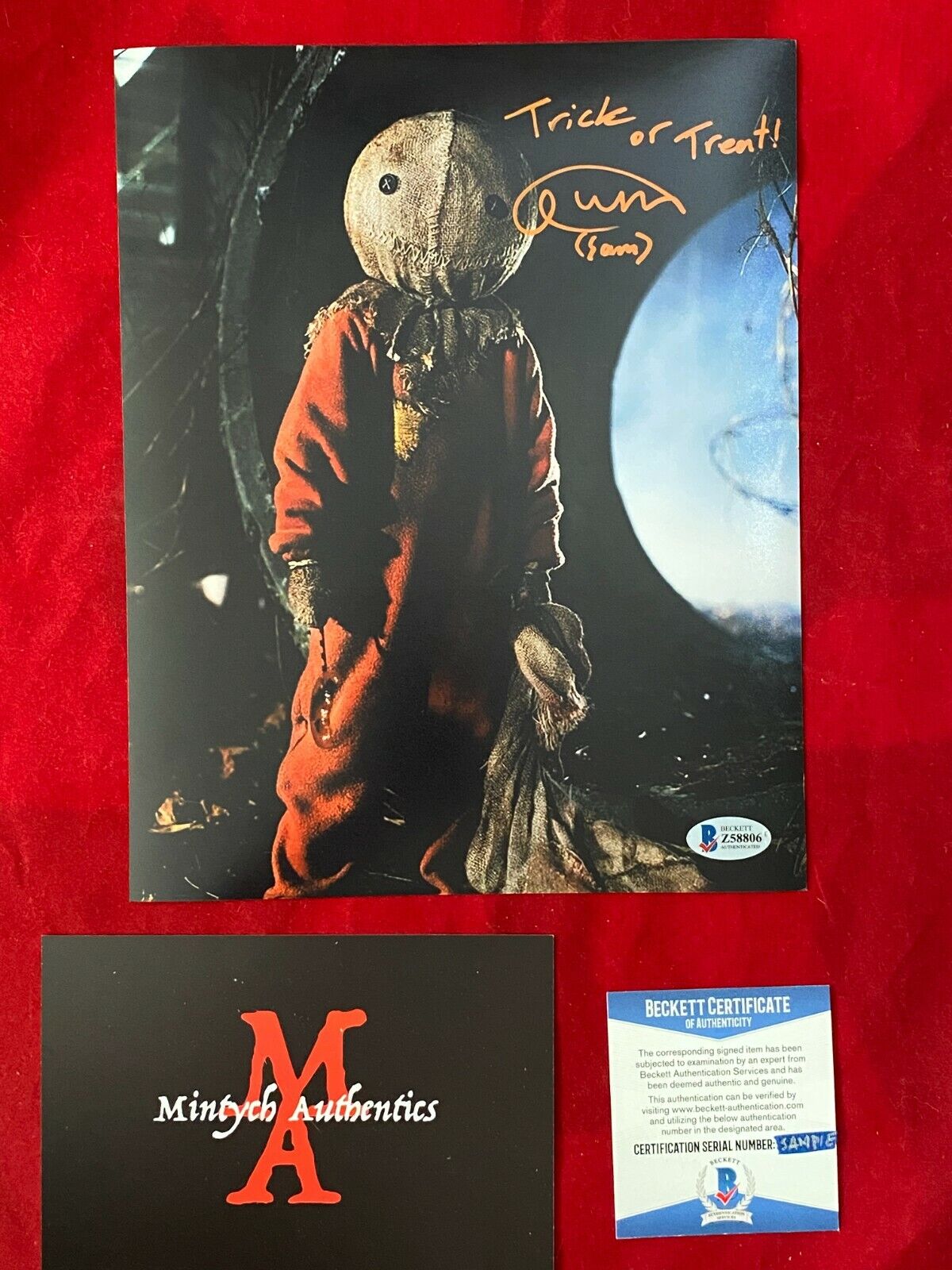 QUINN LORD TRICK 'R TREAT AUTOGRAPHED SIGNED 8x10 Photo Poster painting! BECKETT! HORROR! SAM!