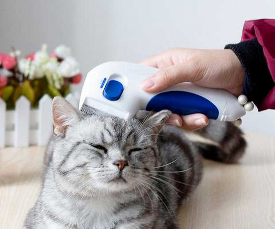 Electronic Flea Comb Perfect for Dogs & Cats Kills & Stuns Fleas