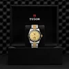 TUDOR Black Bay S&G 41mm Steel and Gold