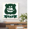 Diamond Painting -DIY Round Drill Plymouth Football Club