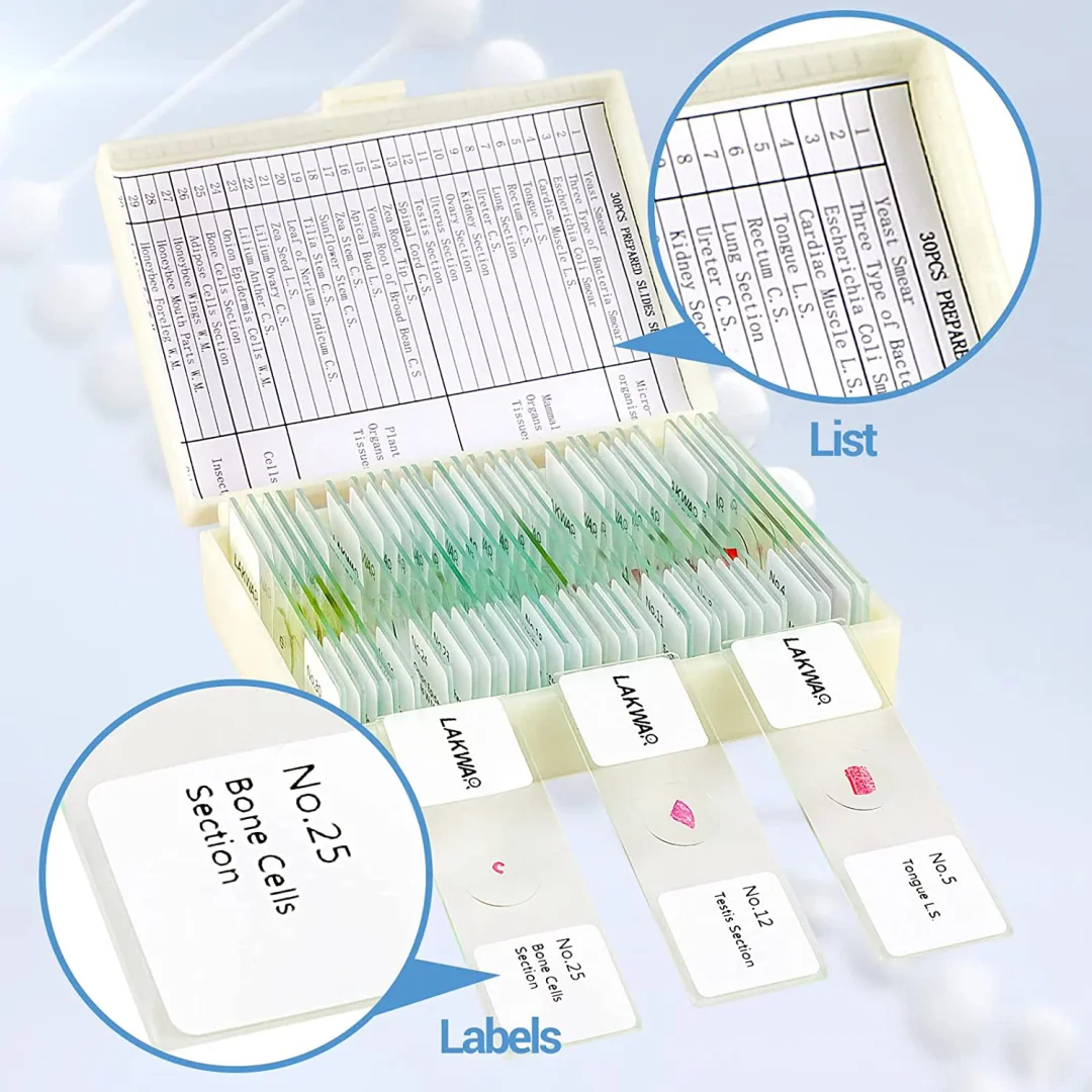 BEBANG 30 Microscope Slides with Specimens for Kids, Prepared Microscope Slides for Kids Microbiology, Glass Slides for Microscope, Biology Gifts for Adults Kids