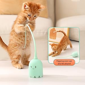 cat wand toy