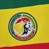 2022 Senegal Home Football Shirt 1:1 Thai Quality