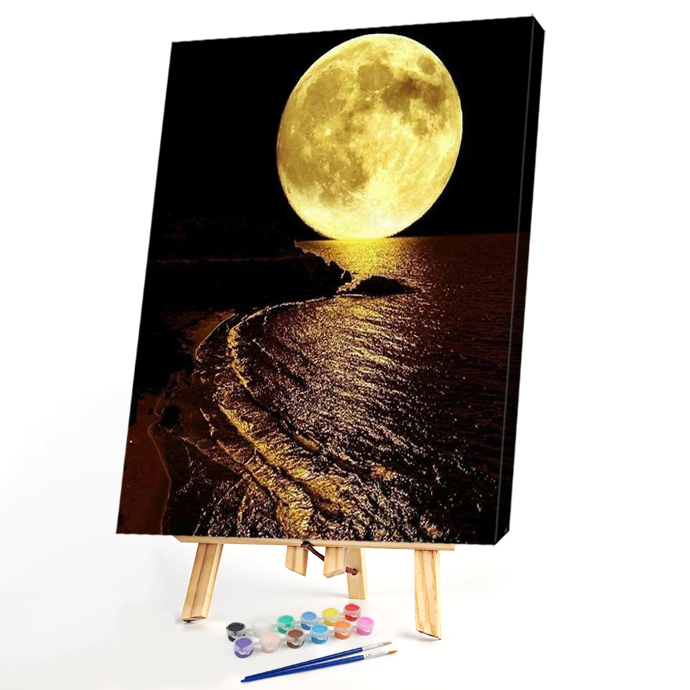 

40*50CM Paint By Numbers-Moon, 501 Original