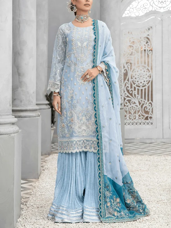 Elegant And Festive Mesh Ladies Suit