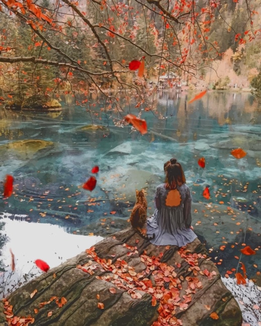 

Adventurous Girl With Her Cat – Paint By Numbers - 40*50CM, 501 Original