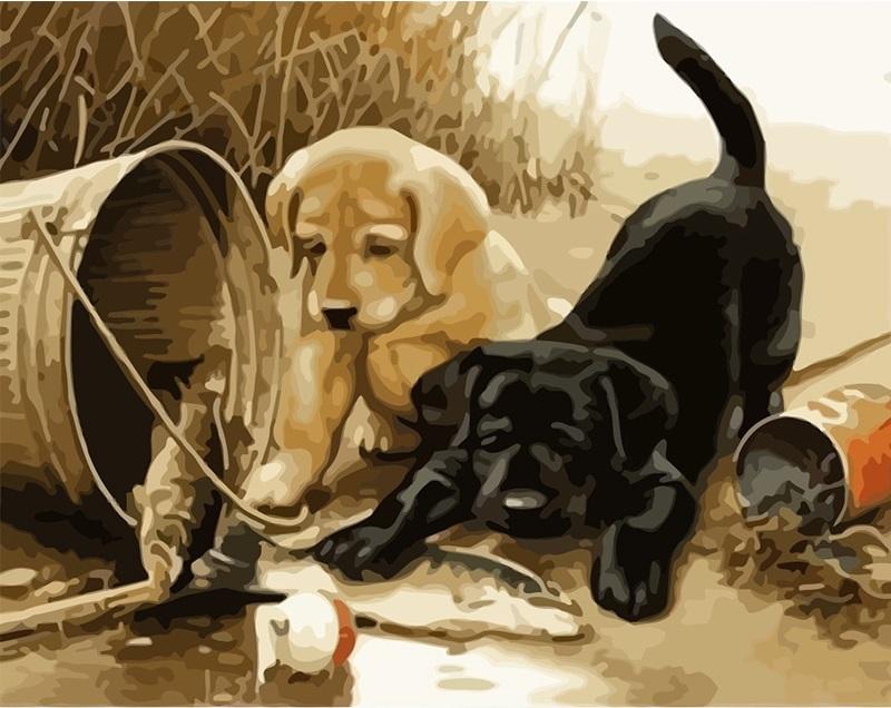 

Dogs Fishing – Paint By Numbers - 40*50CM, 501 Original