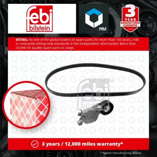 Drive Belt Kit 176080 Febi Set 1611277580 1611277880 1613444880 1355389 6PK975 Parts