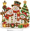 DIY Special Shape Diamond Painting Desk Ornament Xmas Decor Kit