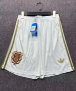 2024/2025 Bayern Munich 125th Anniversary Edition Shorts Football Shirt 1:1 Thai Quality