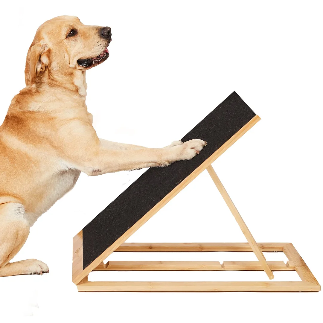 Dog Scratch Pad for Nails