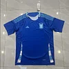 2024 Argentina National Team Away Football Shirt 1:1 Thai Quality love fball