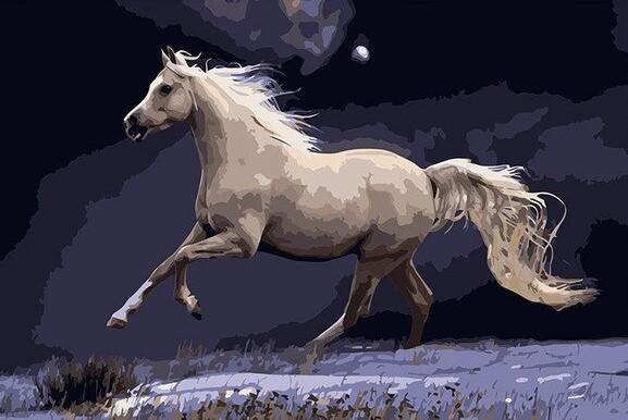 

Galloping White Horse – Paint By Numbers - 40*50CM, 501 Original