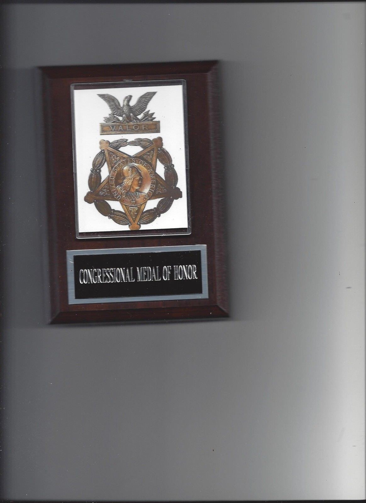 CONGRESSIONAL MEDAL OF HONOR PLAQUE MILITARY AWARD US USA Photo Poster painting PLAQUE