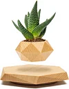 Magnetic Levitation Flower Pot Rotating Planters Suspension Floating Plant Succulents Potted
