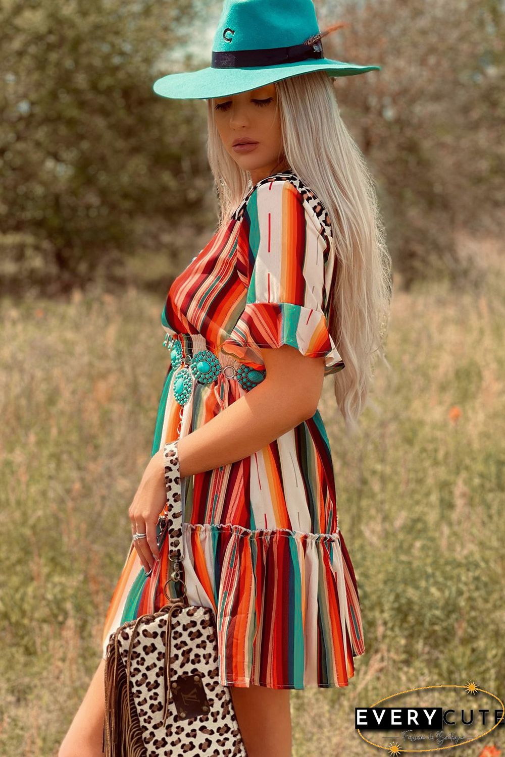 Serape Striped Leopard Mini Dress