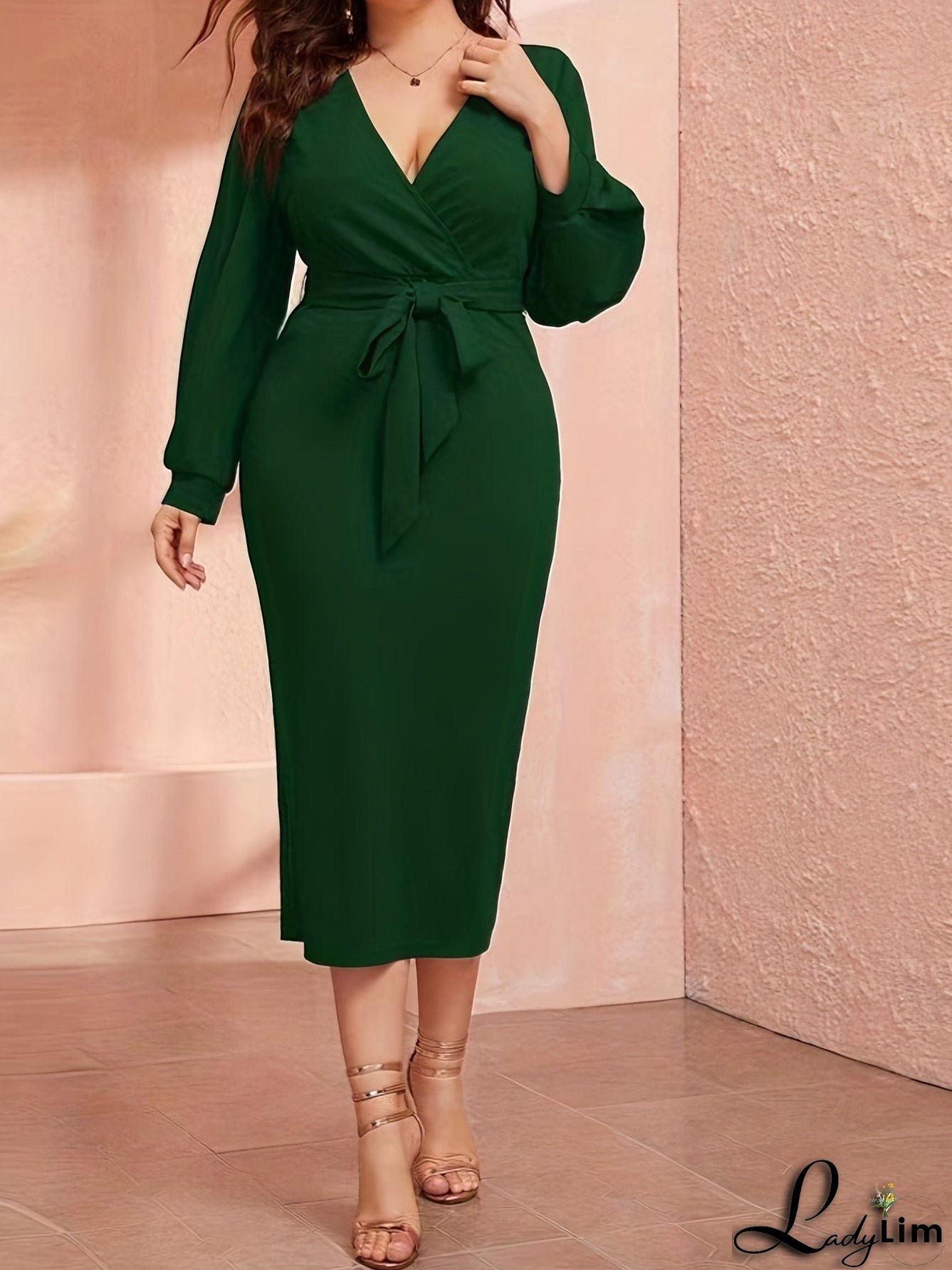 Classic and Stylish Dress