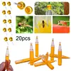 20Pcs Fruit Fly Traps with Attractant Liquid Orchard Plastic Pest Insect Catcher