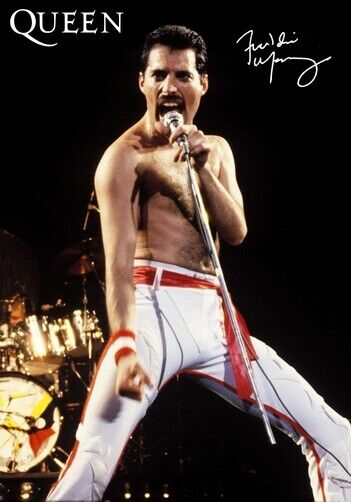 QUEEN POSTER - FREDDIE MERCURY 1 - Photo Poster painting QUALITY INSERT  POST!