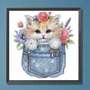 Diamond Painting-DIY Crystal Rhinestone Cat in the Pocket